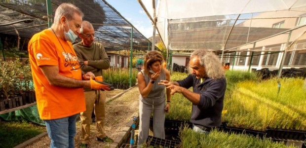 El Cartagena Jazz Festival, Soltec y Anse realizarán un voluntariado de recuperación de flora autóctona en Tallante