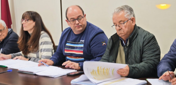 La Junta Municipal de La Palma hace balance de su gestión en el último Pleno del año